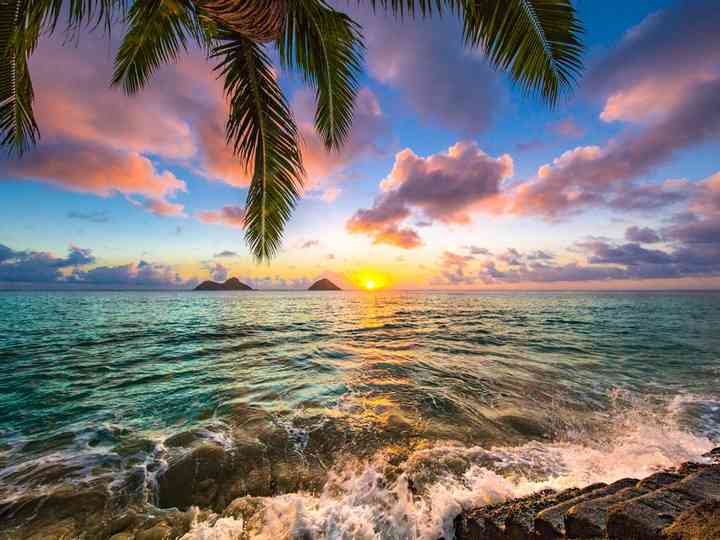 JohnDraven3's tweet photo. petite photo des vacance https://t.co/quycJRGBp5