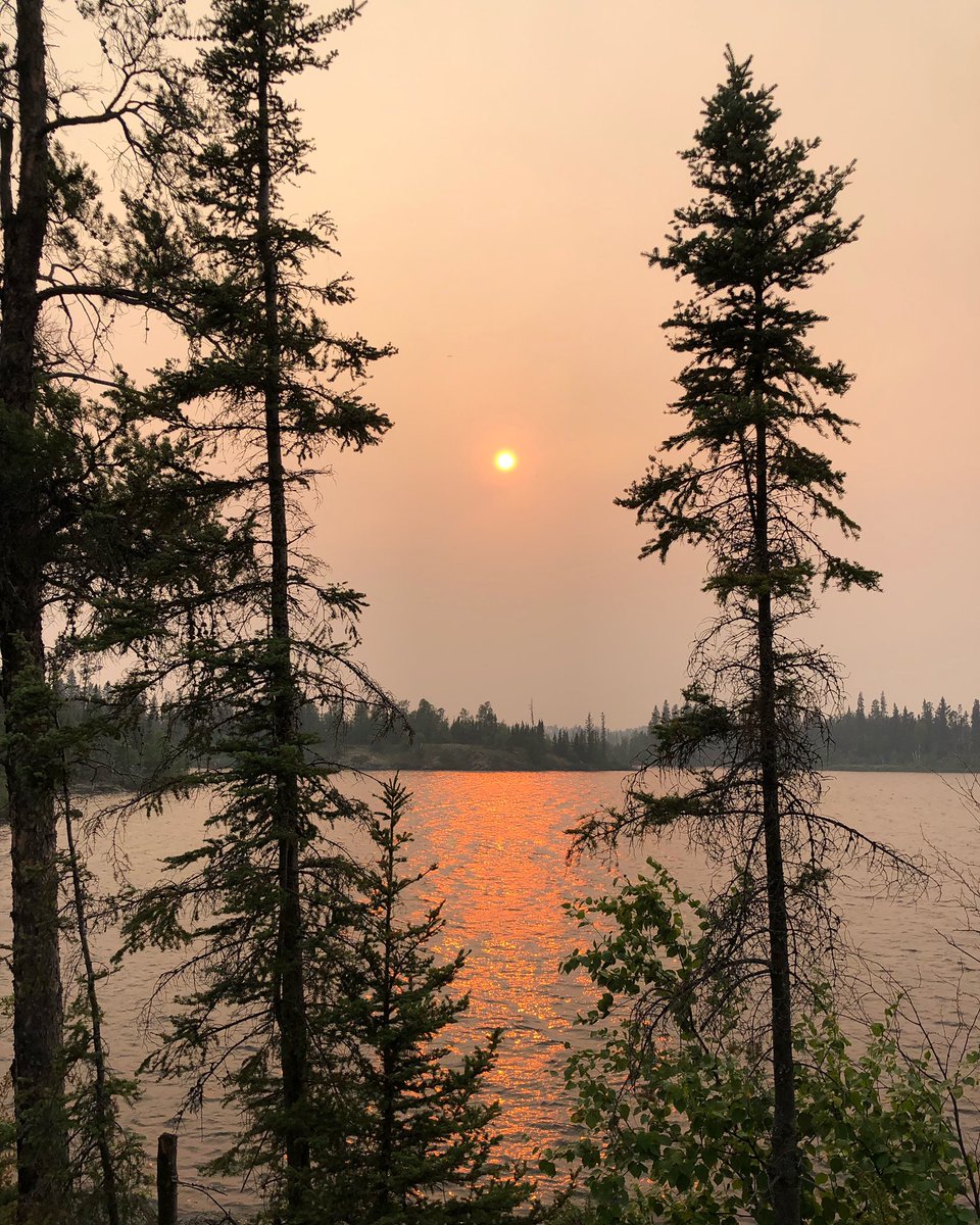 dwilapix's tweet photo. Neso Lake, MB
The forest is on fire on the far side of the lake. Four water bombers and a bird dog were working hard to control this burn. Word is that it started from a spark from a transformer.
#forestfire #forest #forestfires #forestphotography #forestmood #scary #burning https://t.co/ENewcjsgFr