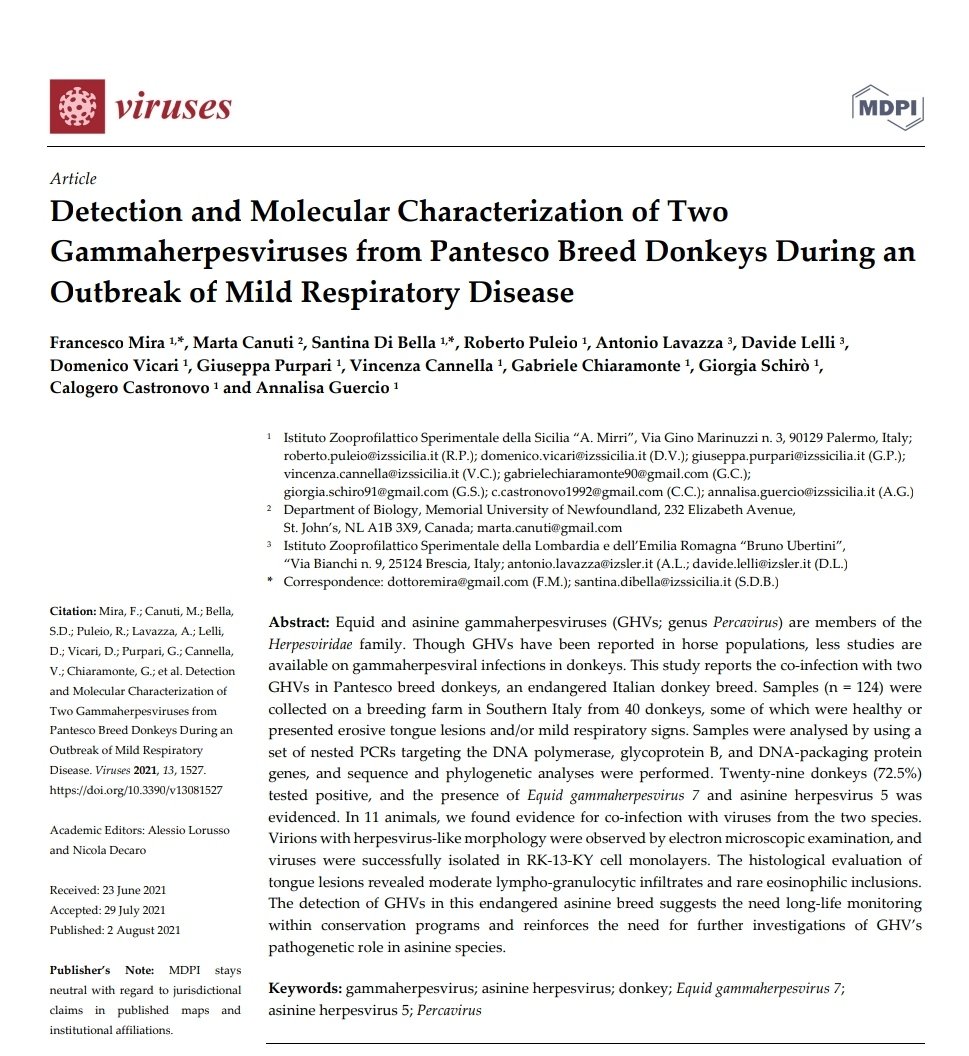 Another interesting experience with great colleagues.
Here the text: mdpi.com/1999-4915/13/8…