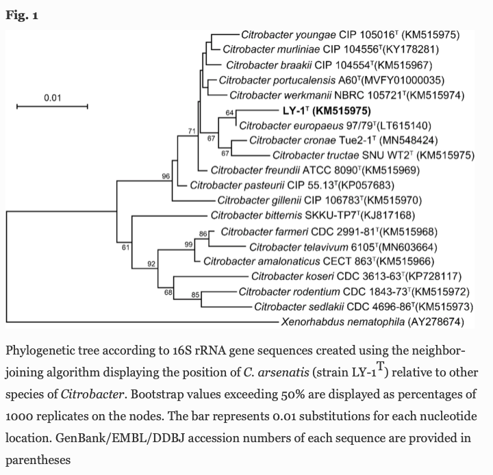 msmjetten's tweet photo. @van_journal @AvlJom Citrobacter arsenatis sp. nov., an #arsenate-reducing bacterium isolated from freshwater sediment
https://t.co/fkqw5kPSP0
https://t.co/AB8PTDNh1t
@KNVM_online @SpringerMicBio #avljopm https://t.co/0LnYYPHKj2