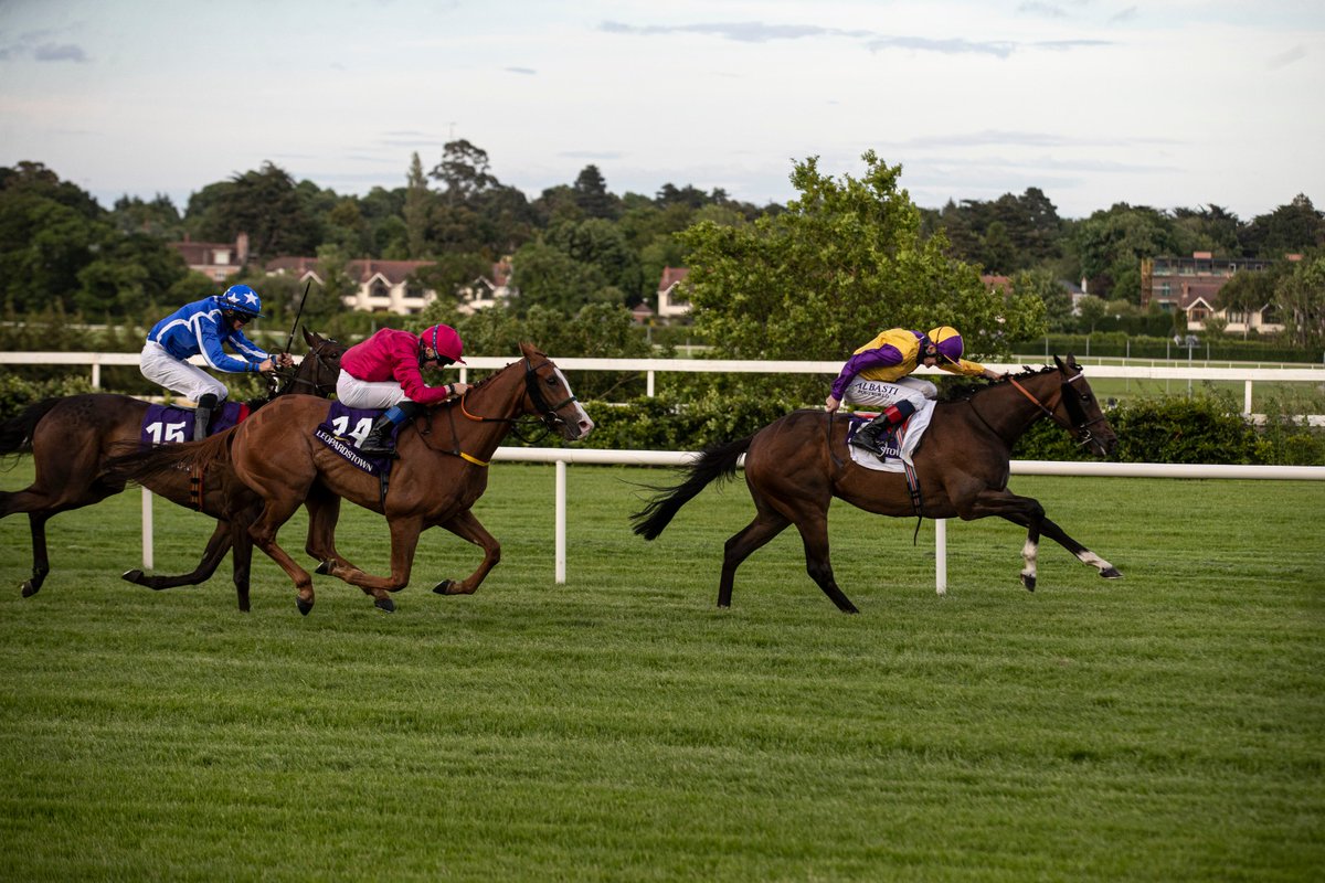 Leopardstown RC (@leopardstownrc) on Twitter photo We look forward to the <a href="/RyansCleaning/">Ryans Cleaning Waste & Recycling</a> Handicap on Thursday 🏆🏇🤩
⏰Race 8➡️7.30
🏇1⃣6⃣ Runners
The race features⭐️Hook Head🪝🏇who recently won the Sandymount Handicap in June for trainer Jim Bolger & <a href="/kmanning910/">Kevin Manning</a> 🤩🏆 <a href="/umanning1/">Úna Manning</a>
✍️View Declarations➡️bit.ly/2VtnKCW We look forward to the <a href="/RyansCleaning/">Ryans Cleaning Waste & Recycling</a> Handicap on Thursday 🏆🏇🤩
⏰Race 8➡️7.30
🏇1⃣6⃣ Runners
The race features⭐️Hook Head🪝🏇who recently won the Sandymount Handicap in June for trainer Jim Bolger & <a href="/kmanning910/">Kevin Manning</a> 🤩🏆 <a href="/umanning1/">Úna Manning</a>
✍️View Declarations➡️bit.ly/2VtnKCW
