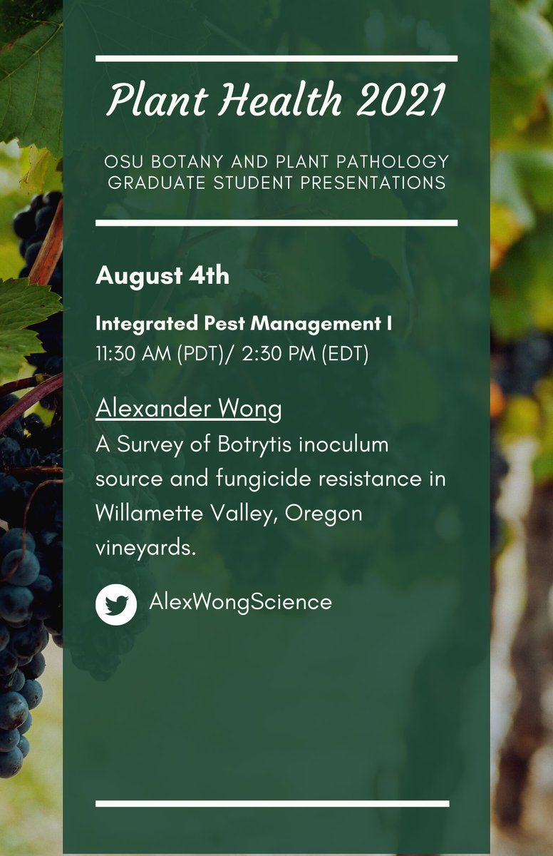OSU BPP GSA (@osu_bpp_grads) on Twitter photo Tomorrow Alex (<a href="/AlexWongScience/">Alexander Wong</a>) will talk about Botrytis inoculum source and fungicide resistance in OR vineyards! 🍇 #PlantHealth2021 Tomorrow Alex (<a href="/AlexWongScience/">Alexander Wong</a>) will talk about Botrytis inoculum source and fungicide resistance in OR vineyards! 🍇 #PlantHealth2021