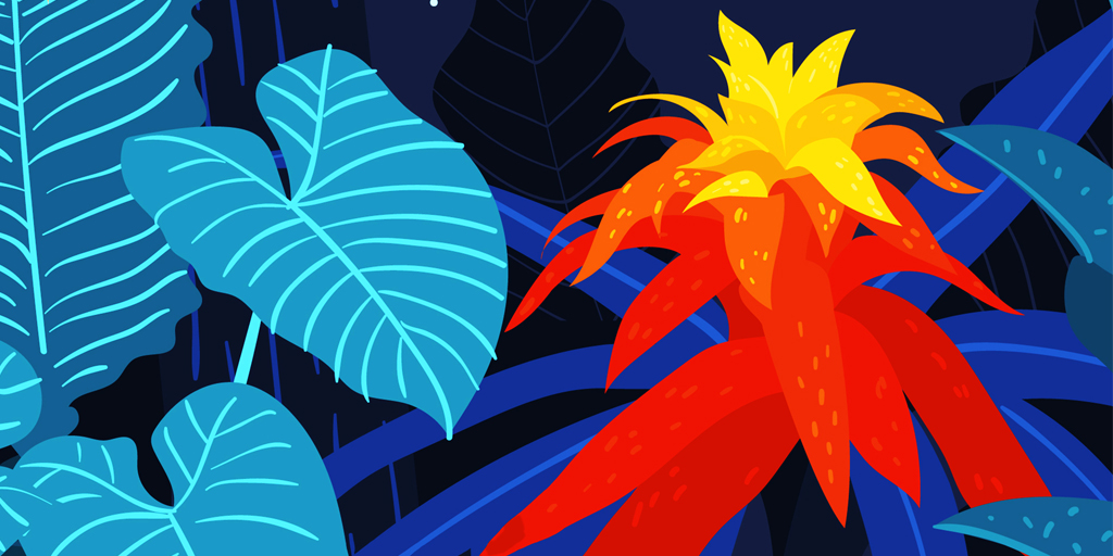 🌴 It is nice finding that place where you can just go and #relax
#TropicalNight Bossa Nova open.spotify.com/album/5iNydeYU…