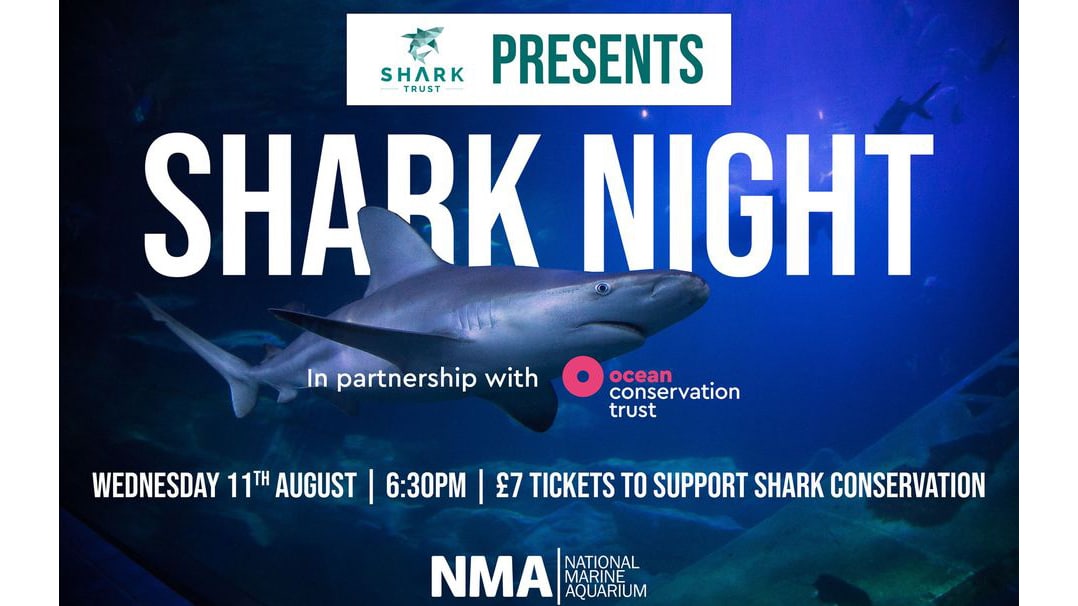 Scubaverse (@scubaversemedia) on Twitter photo Shark Night with <a href="/SharkTrustUK/">The Shark Trust</a>!
Walk the red carpet and take your seat for the first showing of the Shark Shorts.
<a href="/NMAPlymouth/">National Marine Aquarium</a> <a href="/OceanCTrust/">Ocean Conservation Trust</a> #shark #conservation #film #premiere #SharkShorts #SharkTrust #NMA #Plymouth #event
scubaverse.com/shark-night-wi… Shark Night with <a href="/SharkTrustUK/">The Shark Trust</a>!
Walk the red carpet and take your seat for the first showing of the Shark Shorts.
<a href="/NMAPlymouth/">National Marine Aquarium</a> <a href="/OceanCTrust/">Ocean Conservation Trust</a> #shark #conservation #film #premiere #SharkShorts #SharkTrust #NMA #Plymouth #event
scubaverse.com/shark-night-wi…
