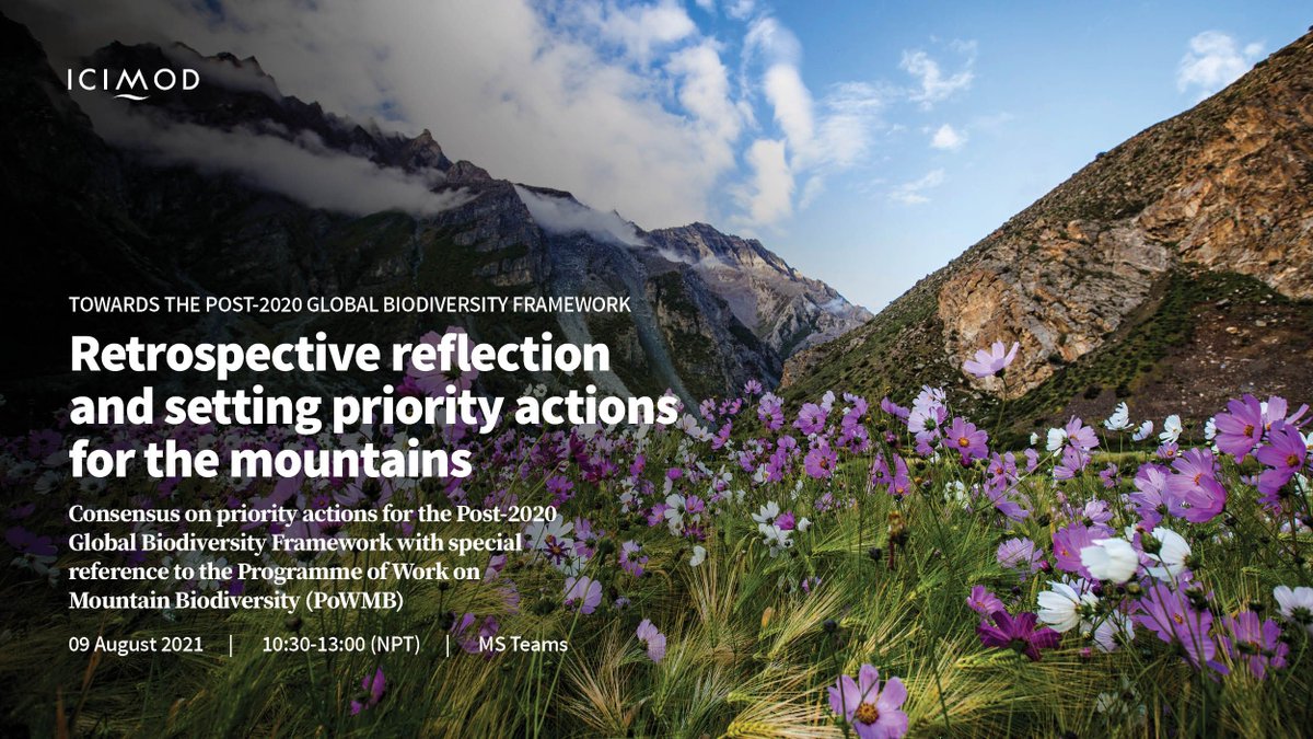 We're organizing a #webinar to share progress in the #Strategic Plan for #Biodiversity &amp; discuss priority actions &amp; #targets for #Post2020 <a href="/UNBiodiversity/">UN Biodiversity</a> Framework. 

For more 👉 j.mp/3ypbphK
For more on our work with #CBD 👉 j.mp/3A2hcdG

#ForNature #COP15