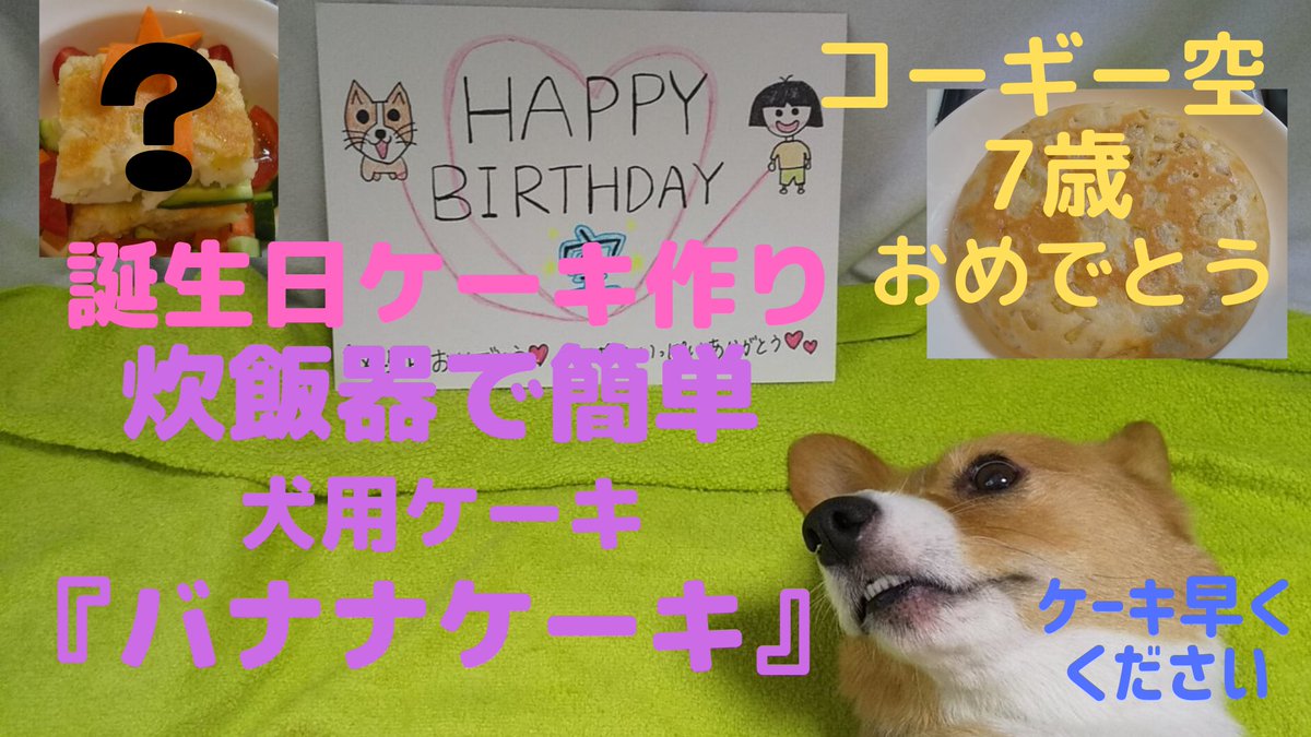 犬用ケーキ