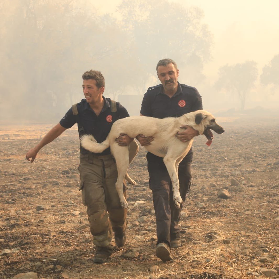 biz sizin hakkınızı ödeyemeyiz