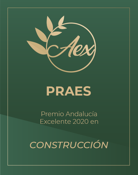 El día 9 de Abril del presente año, tuvo lugar la VII Gala de Premios Andalucía Excelente 2020, donde se reconoce a los profesionales y empresas que llevan a lo más alto a Andalucía y a España.

Nuestra empresa obtuvo el premio en la categoría de construcción.