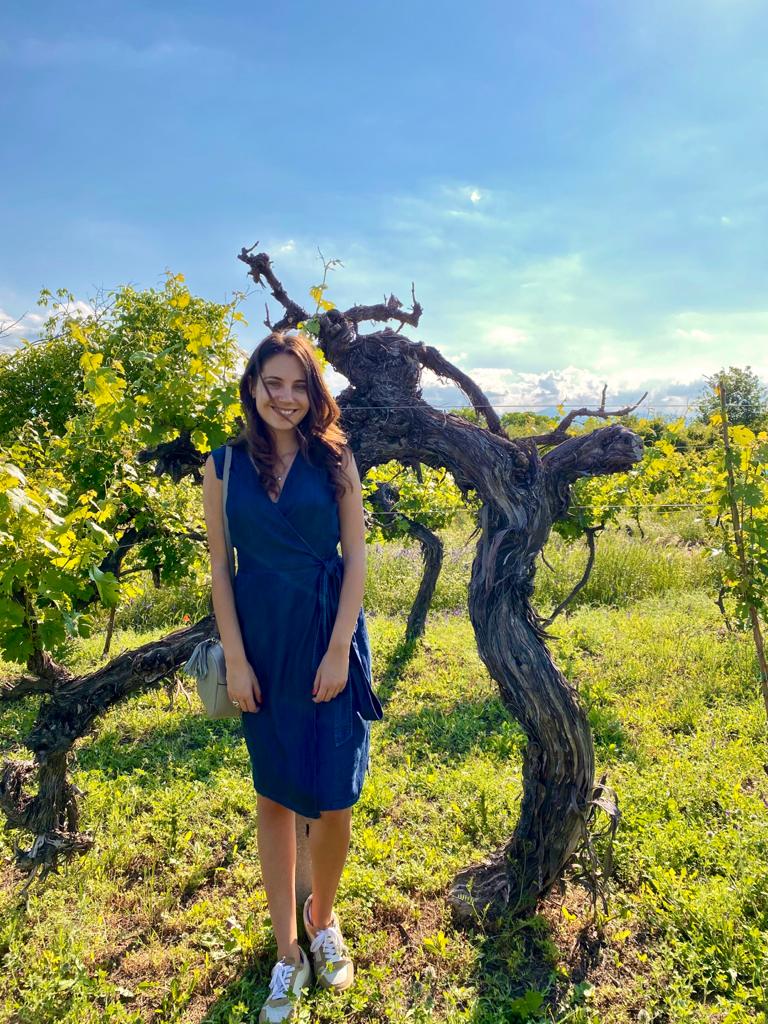 Thank you @JancisRobinson for publishing my #wwc21 entry about Velis Vineyards old vine Cabernet Sauvignon in Karabunar, Bulgaria, which happily coincided with the opening of their winery: jancisrobinson.com/articles/wwc21… #winewriting #oldvines
