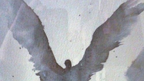 * ；The 𝕭ird (@tillania) on Twitter photo 