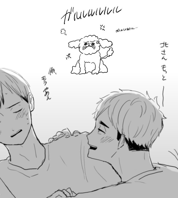 侑北に威嚇するトイプ〜🐶

【@mmscrg 】さんに負けて描きました…🐶 