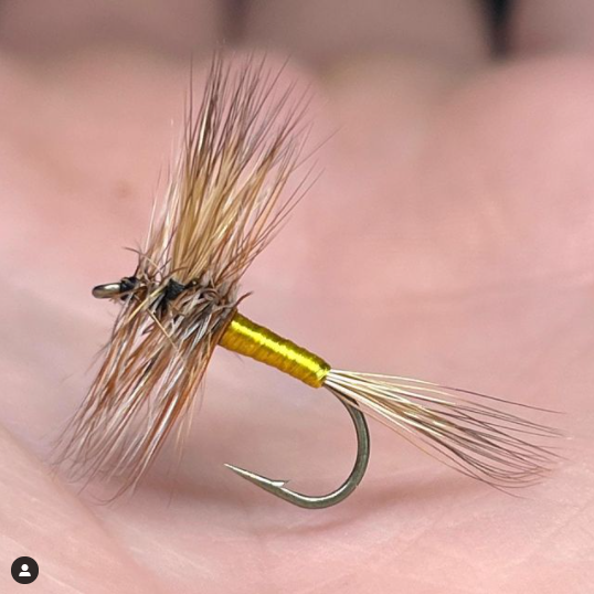 FarmsWhiting's tweet photo. I like these in the fall on a freestone stream
tied by @ekulstacy
Grizzly Wulff I tied awhile back and never got around to posting. Love this fly 😎
#whitingfarms #leewulff #classicflies #dryflyfishing #dryfly #dryflytying #dryflyordie #dryflyonly #flytying #fly #flytyingaddict https://t.co/yEzjXMRgDm