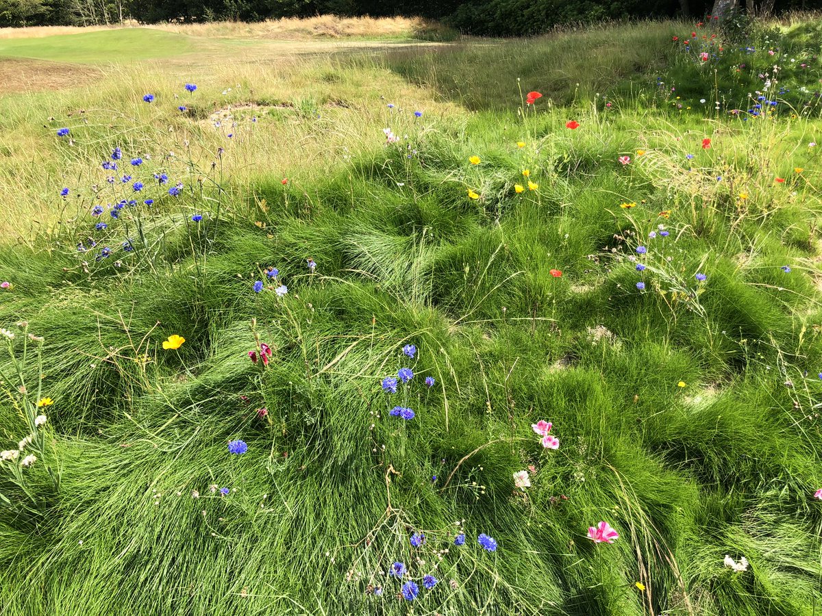 FGCcourseupdate's tweet image. 