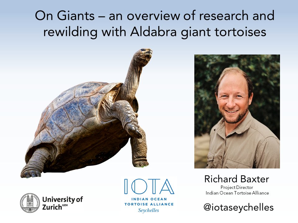 We are very happy to announce that this weeks Herpetology Seminar will be delivered by Richard Baxter, titled "On Giants – an overview of research and rewilding with Aldabra giant tortoises". 

Wednesday 4th August at 18:00 BST. A link will be posted tomorrow and will be recorded