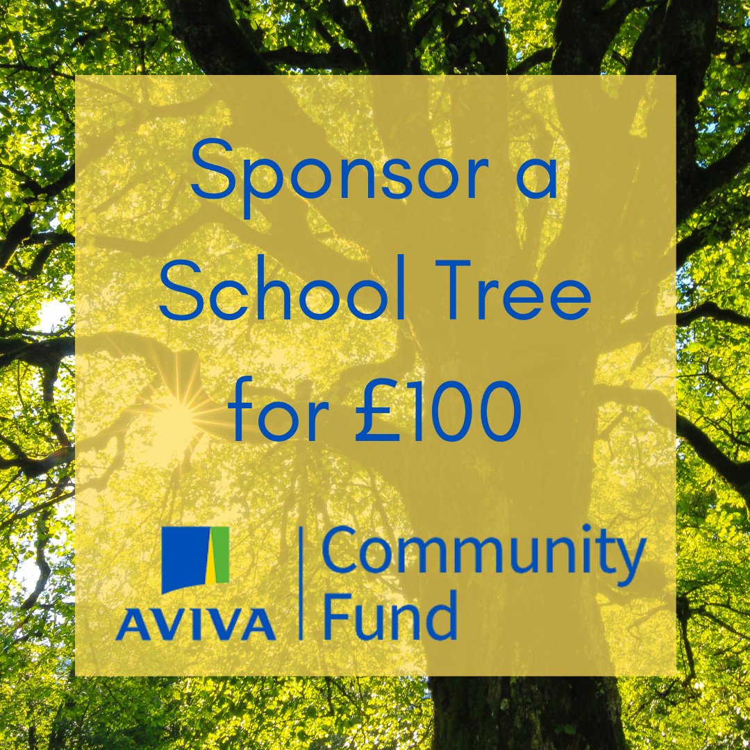treeactionuk's tweet photo. Next week our Crowdfunder goes live! We are raising funds to plan &amp; deliver tree planting &amp; maintenance projects on school grounds &amp; public spaces that benefits students. For our first Crowdfunder Reward you can sponsor a tree for £100. 
Get in touch to purchase this reward. https://t.co/IxtenGb73p