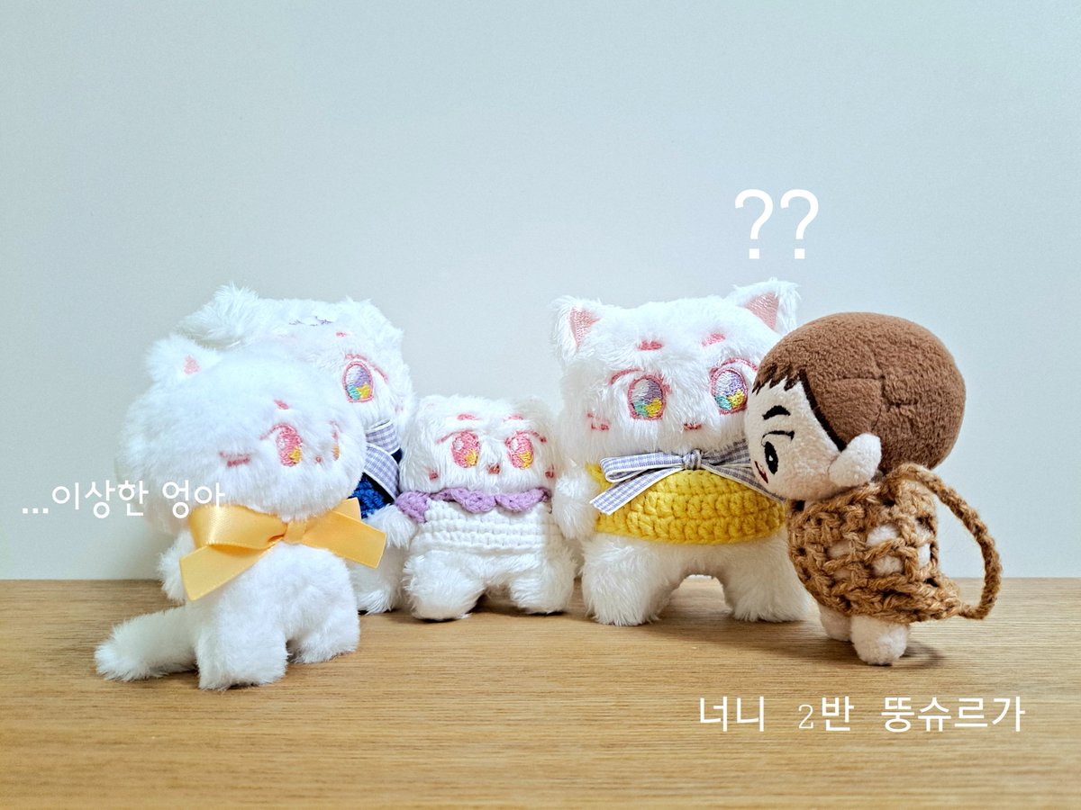 와따네 와따네~ 새칭구 왔다네 야호 😭😭😭😭😭😭😭 이름 뭐로 지을까ㅠㅠㅠㅠㅠㅠ 반가워 ㅠㅠㅠㅠㅠㅜ 누나가 넌 살 안빠지게 잘 관리하께ㅜㅜㅜㅜㅜㅜㅜㅜㅜㅜ
<a href="/ChurShop/">츄르샵♥️ (김나비육아중</a> 님 감사합니다 ㅠㅠ 일도 안시키고 귀하게 키우겠습니다 너무 귀여워여ㅠㅜㅜㅜㅜㅜㅜ