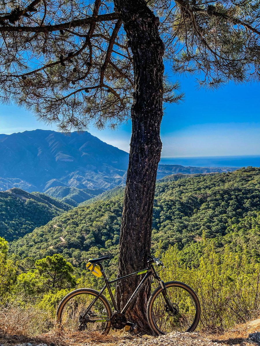 claud butler tweet media