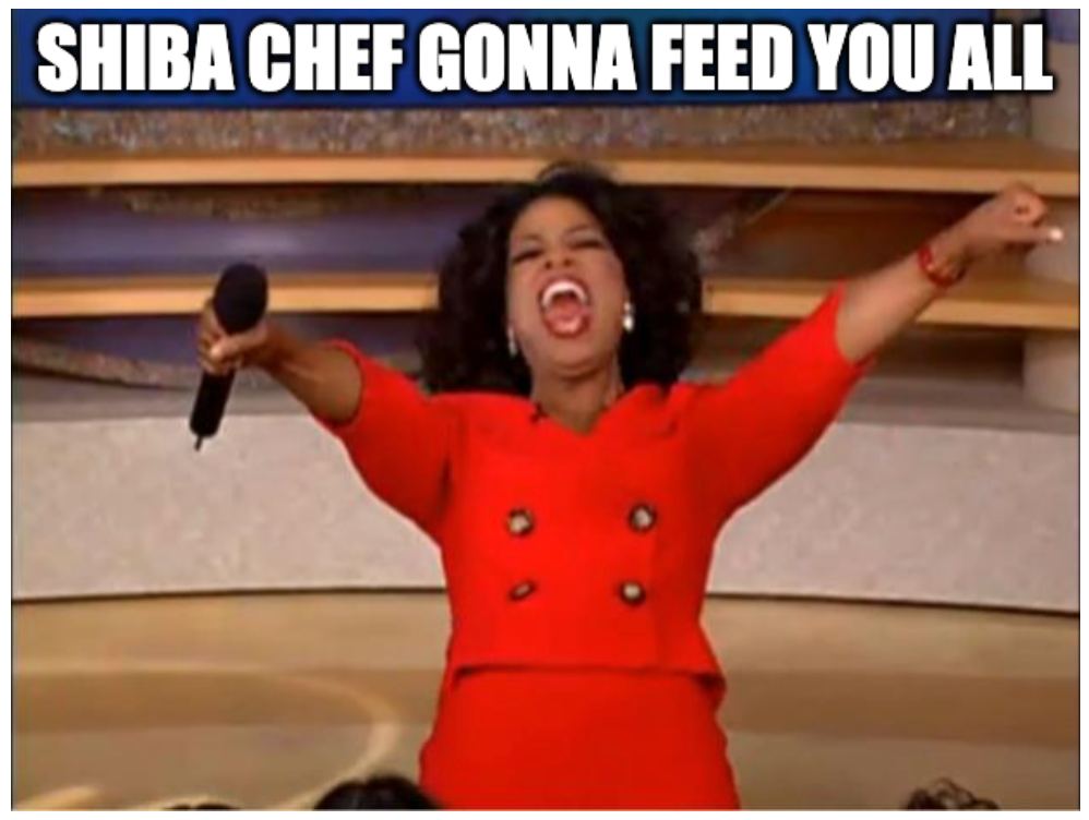 shibacheftoken's tweet photo. #SHIBACHEF TEAM! https://t.co/GVSATrqFya