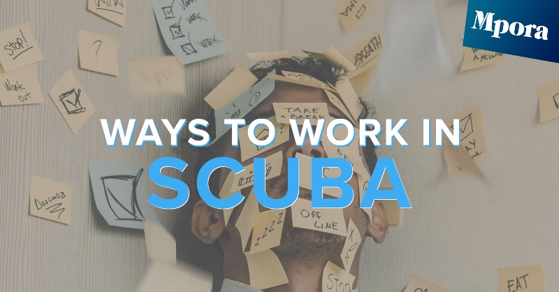 simplyscuba's tweet photo. A job in the scuba diving industry will be fun though, but remember that there’ll be paperwork too and standing around filling cylinders and carrying heavy gear, it’s not all sunshine and mojitos.
#surfaceinterval #mpora #scubadiving #scubadivingjobs