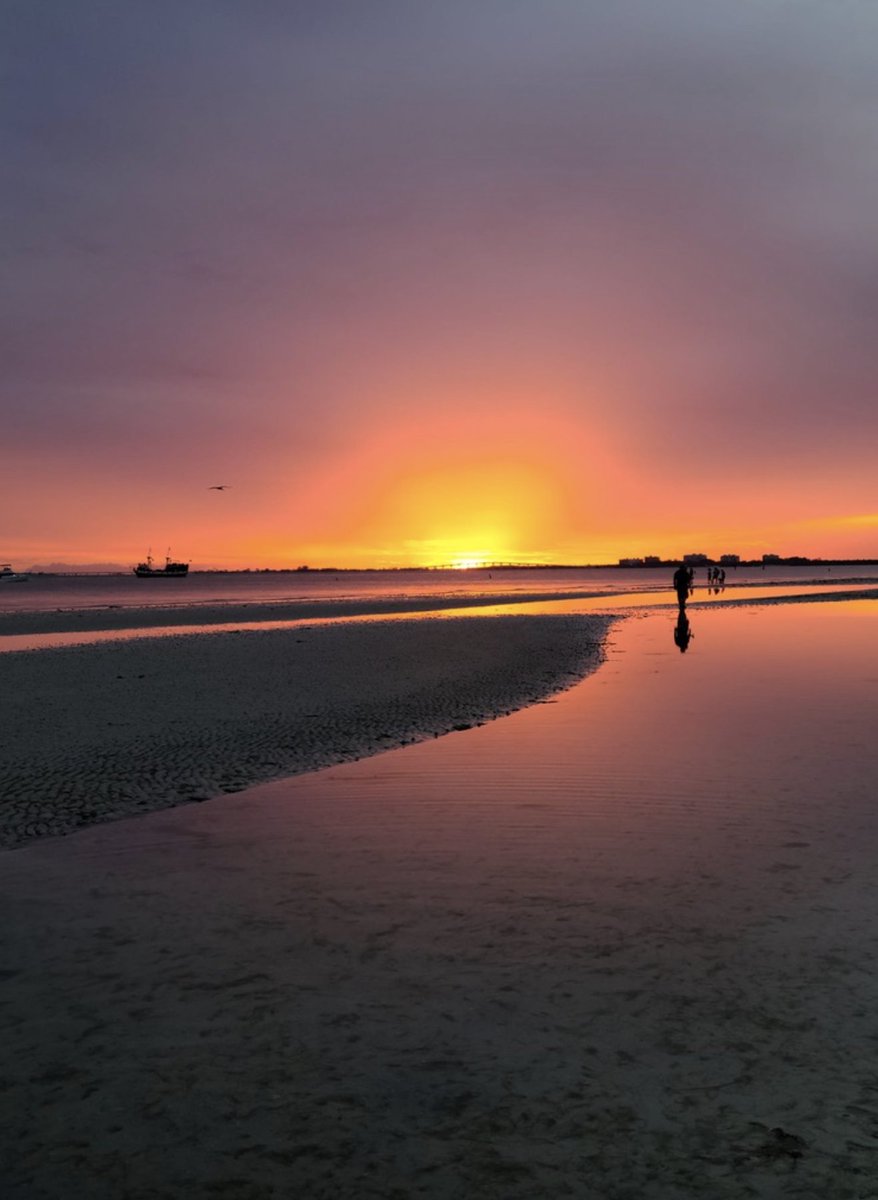 Pink Shell Resort (PinkShellResort) Twitter Tweets • TwiCopy