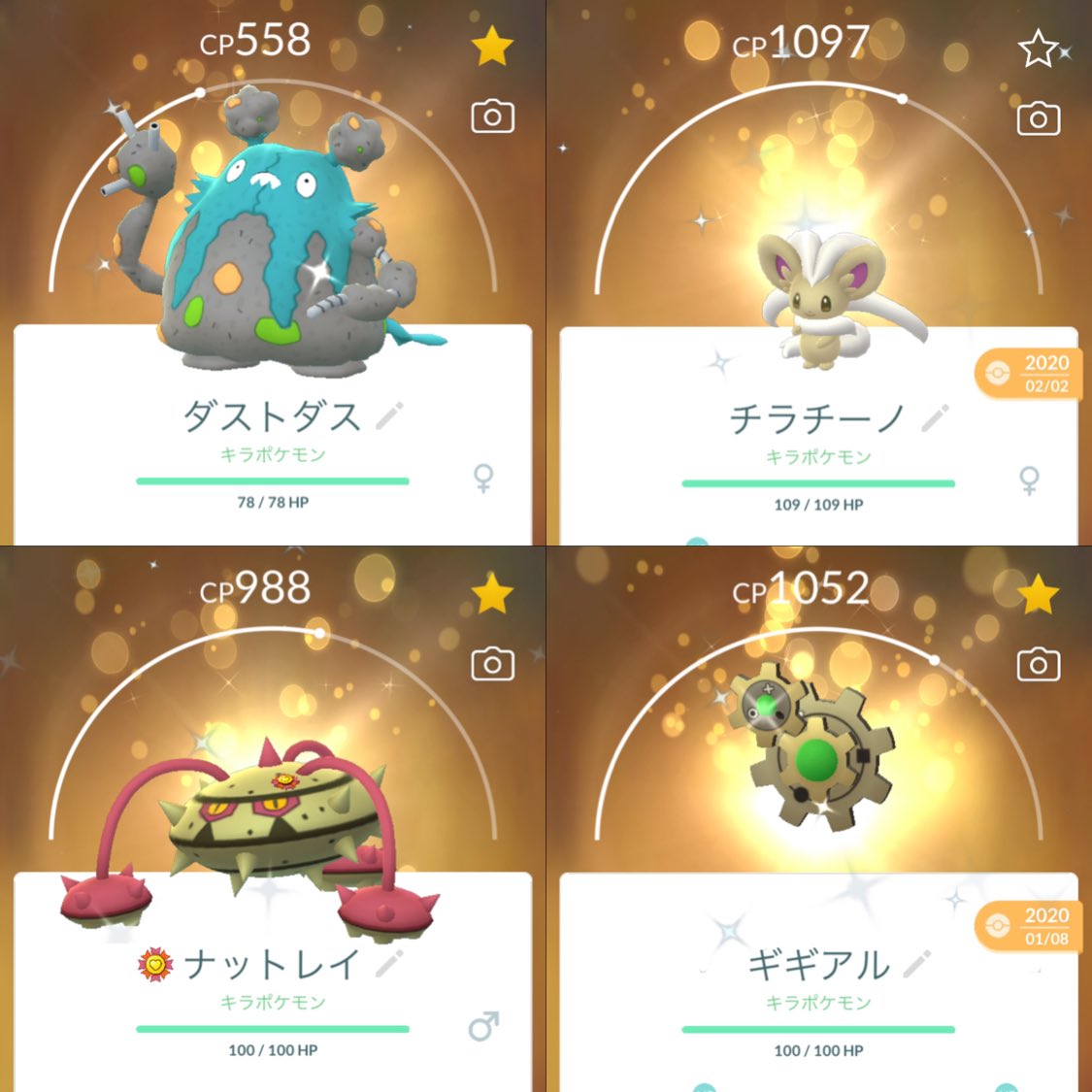 はち ポケモンgo 色違いキラ 3進化 その ダストダス チラチーノ ナットレイ ギギアル ギギギアル ツンベアー ホールド ポケモンgo T Co Uqohweworf Twitter