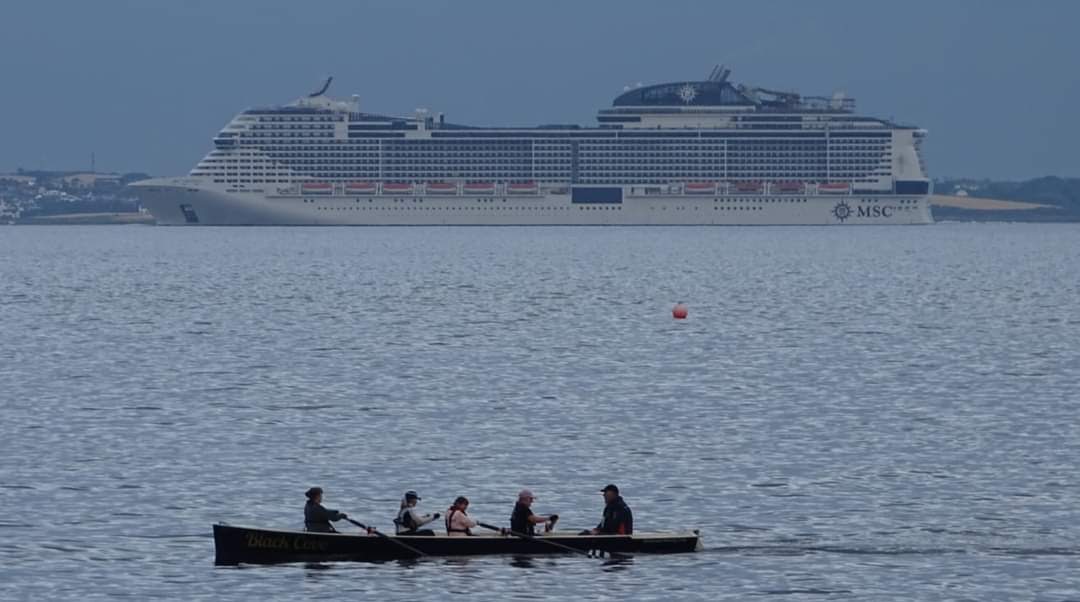 WhiteheadRowers tweet media