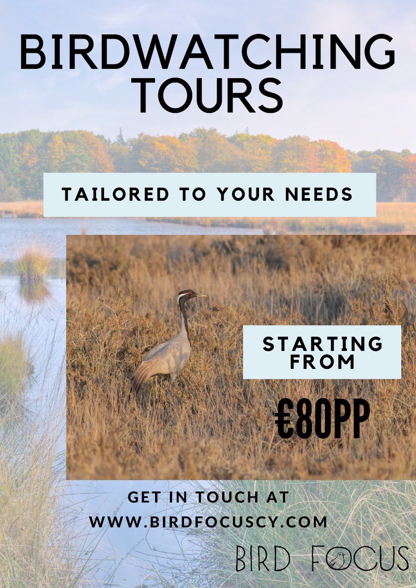 Looking for a birding destination this autumn? Cyprus is the one! Demoiselle cranes, incredible raptor migration, three endemic species and everything in-between. 
Affordable and enjoyable tours for both novice and professional birders. 
Please get in touch to find out more!