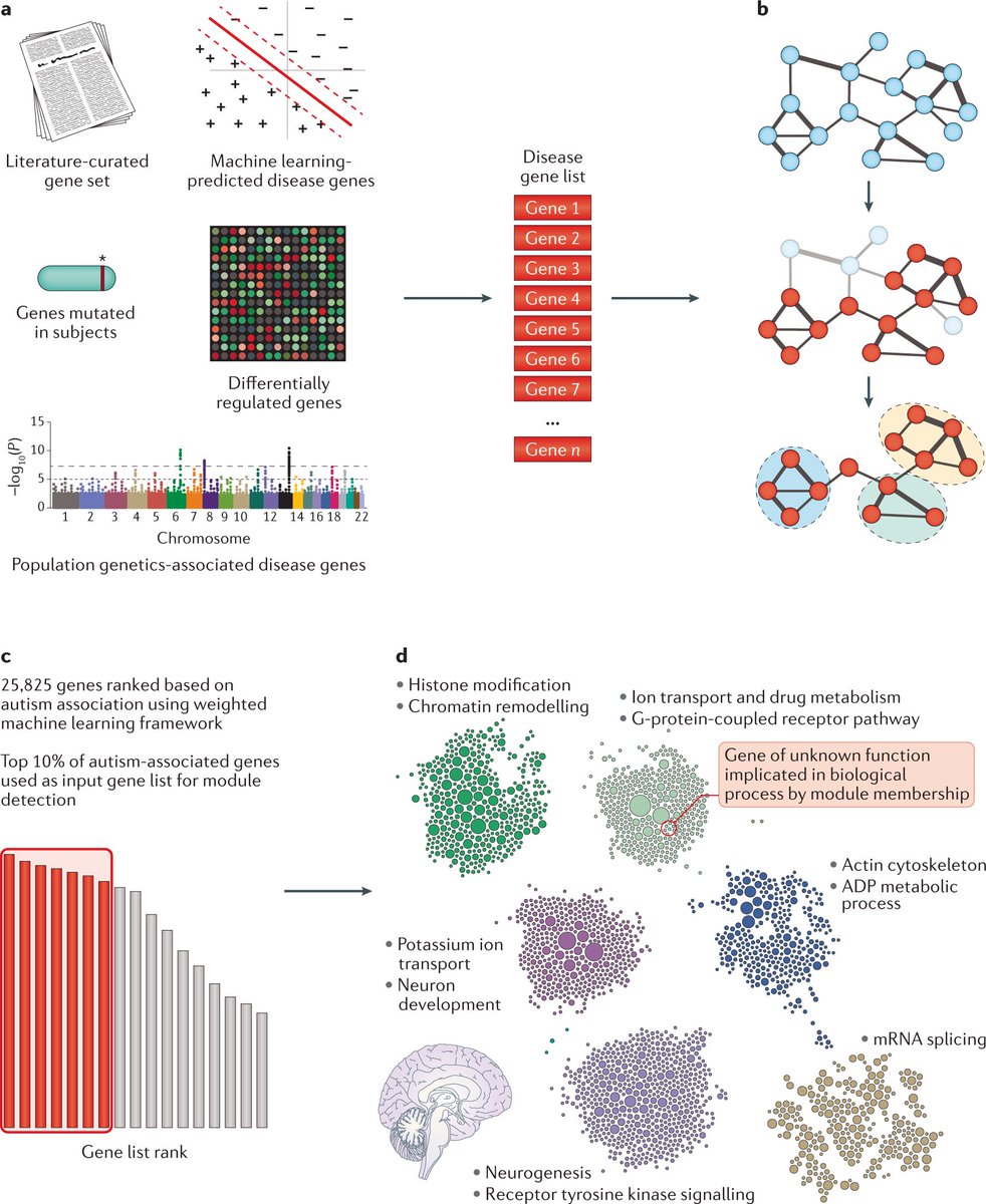They highlight existing methods and key challenges and opportunities in identifying specific disease-causing genetic variants and linking them to molecular pathways and, ultimately, to disease phenotypes