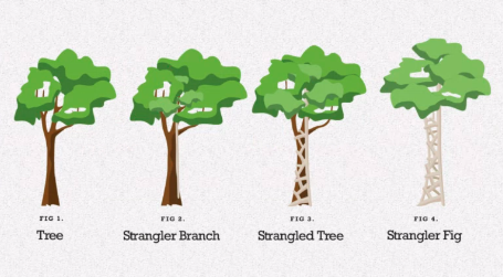 iMasters's tweet photo. Sabe tudo sobre Strangler Pattern? O dev Bruno Prates explica como migrar um monólito para microsserviços.
https://t.co/75ErKVrj3f
#iMasters #microsserviços #microservice #stranglerpattern #pattern #strangler https://t.co/B959Epzvyp
