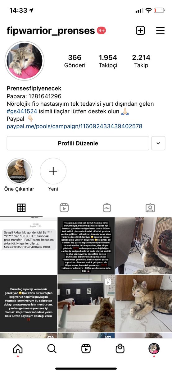 FipAres's tweet photo. @fip_prenses  biz ikimiz yardım bekliyoruz ikimiz de zor durumdayız #instagood #instagram #istanbul #kedi #kedikorumafilesi #kedivideoları #kediler #kediri #kedirilagi #kediaşkı #fiplikediler #fip #fipsavaşçısıkediler #fiplikediyleyaşam #fipwarriorsturkey https://t.co/vdCBOcsylV