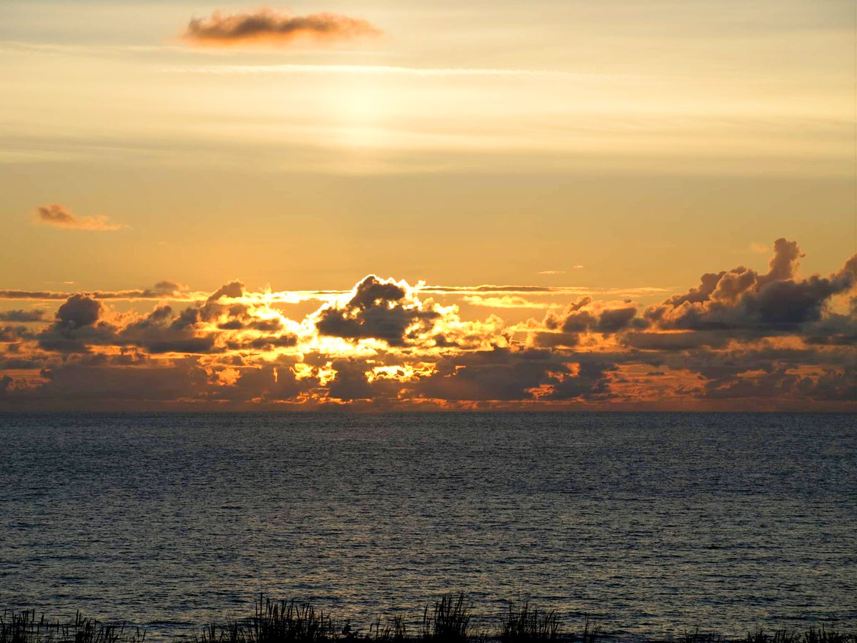 On a prêté un vieux appareil photo à notre fils Paul. 10 ans.
Voilà. Un peu de poésie.
Il attend vos commentaires ( soyez sympa 😘)