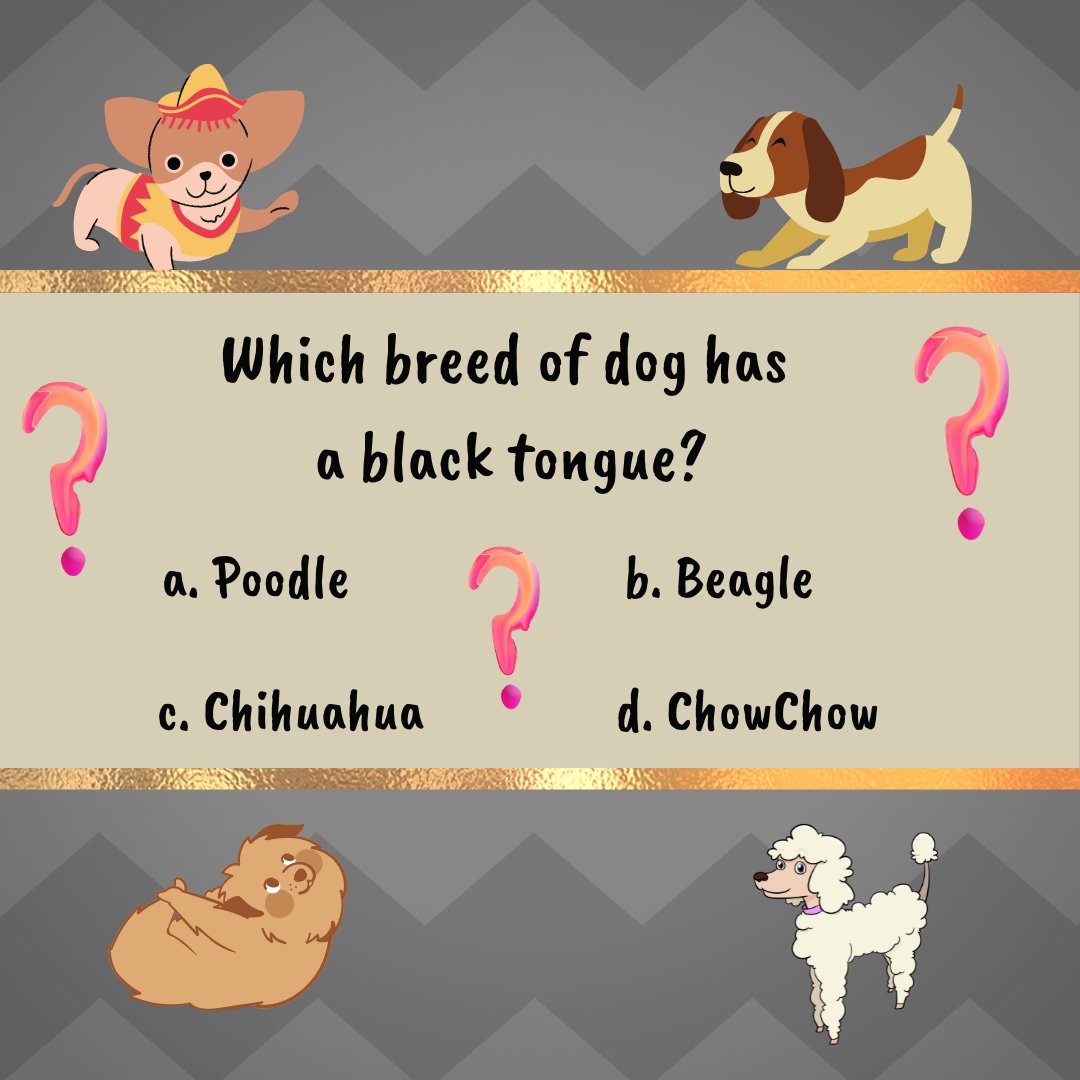 NDTA_Official's tweet photo. 💫 Trivia Tuesday 💫

Do you know the answer...? 🐶👅

#ndta #dogs #dogtraining #TriviaTuesday https://t.co/sLYeCZey3V