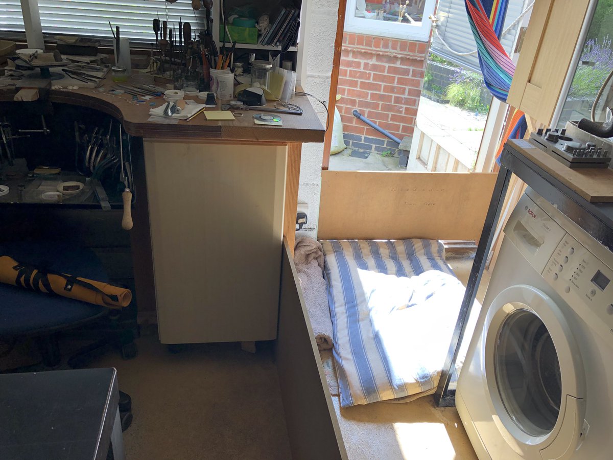 KTHallmark's tweet image. Me &amp;amp; Frog 🐸 are off to collect my new @hd_puppy #WorkshopAssistant this afternoon 🤗