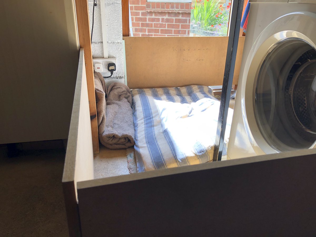 KTHallmark's tweet image. Me &amp;amp; Frog 🐸 are off to collect my new @hd_puppy #WorkshopAssistant this afternoon 🤗