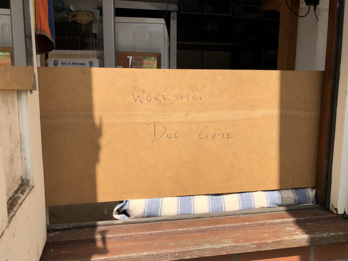 KTHallmark's tweet image. Me &amp;amp; Frog 🐸 are off to collect my new @hd_puppy #WorkshopAssistant this afternoon 🤗