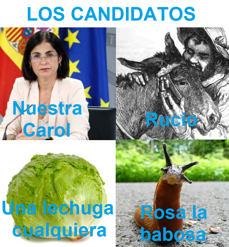Dr Macarrón tweet media