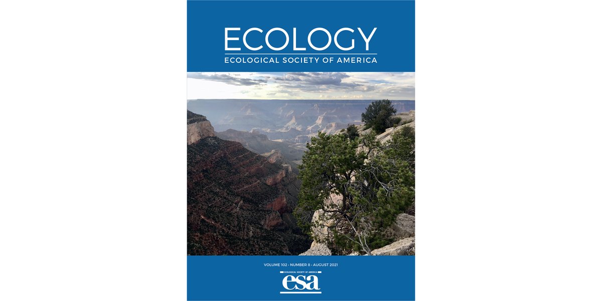 ESAEcology's tweet photo. Our August issue is online for browsing during #esa2021!

Papers in this issue link to #opendata from @nceas
@zenodo_org @datadryad @GBIF @MBLWHOILibrary @figshare and @FWCRIC 

Many thanks to @bkshriver for this cover image!

https://t.co/hTOpIPyYN9 https://t.co/y4wqNn3zxT