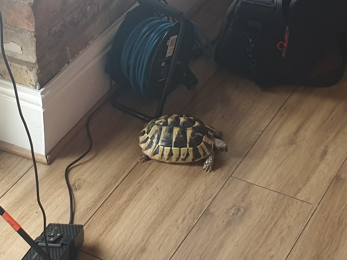 Featuring RT Hon Alan Johnson 🎬
 
It was great to interview Alan Johnson earlier this year, He's an amazing guy and we even got to meet his pet tortoise!🐢