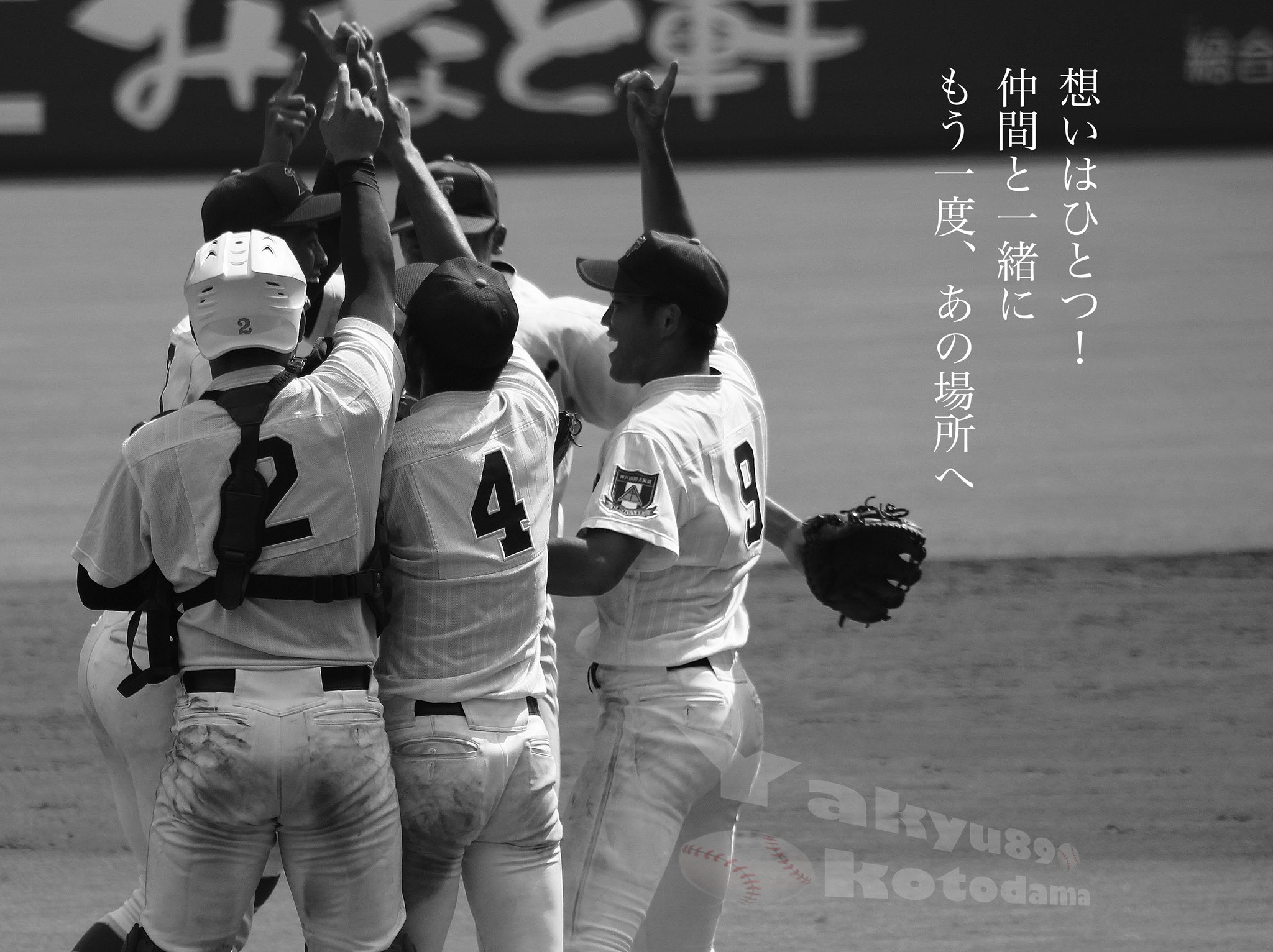 やきゅう 野球 想いはひとつ 仲間と一緒に もう一度 あの場所へ 写真 野球 甲子園 仲間 高校野球 神戸国際大附 写真撮ってる人と繋がりたい 写真好きな人と繋がりたい Copywriter 言葉 名言 夏 言葉の力 Photography