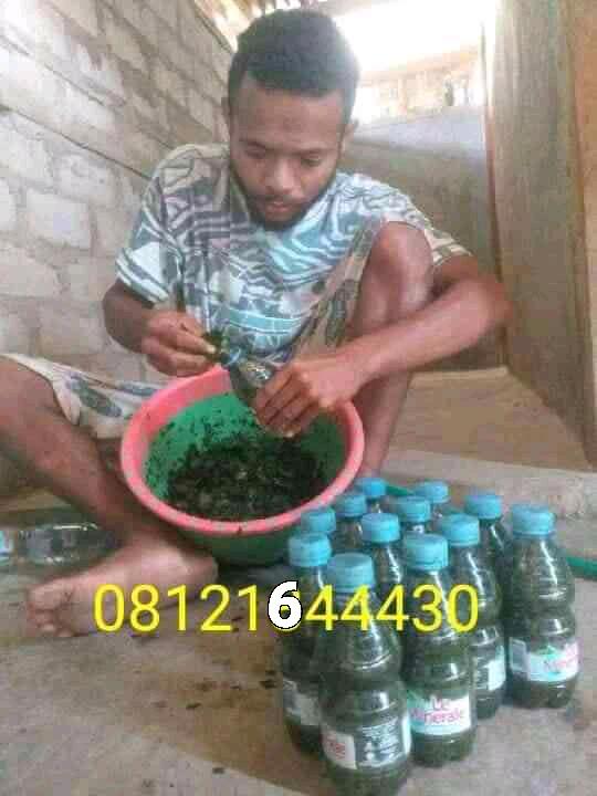 ADO05047848's tweet photo. Lintah, Buah Hitam.Daun bungkus buah hitam.Ramuan asli untuk kasih besar dan panjang penis 1 botol 800 Rb. Ramuan utk bungkus .pake  mlm pagi besar panjang penis. Ramuan pake aman ,karna ramuan sudah campur pendingin.yg minat wa.08127984949
Area manokwari papua.Napi KebaR https://t.co/zMdSS1kC6u