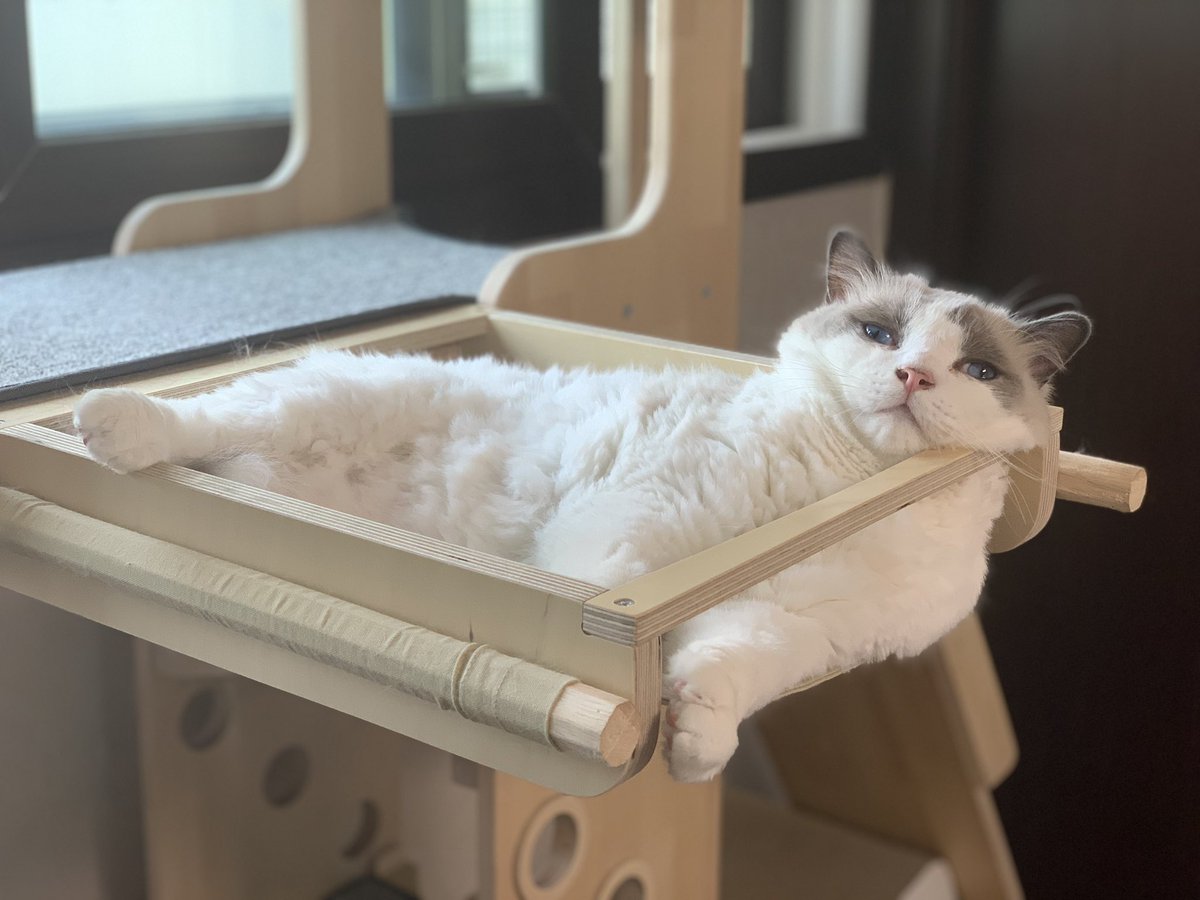 화보 장인... 아니고 장묘 ㅋㅋㅋㅋㅋㅋ

#미니의_하루