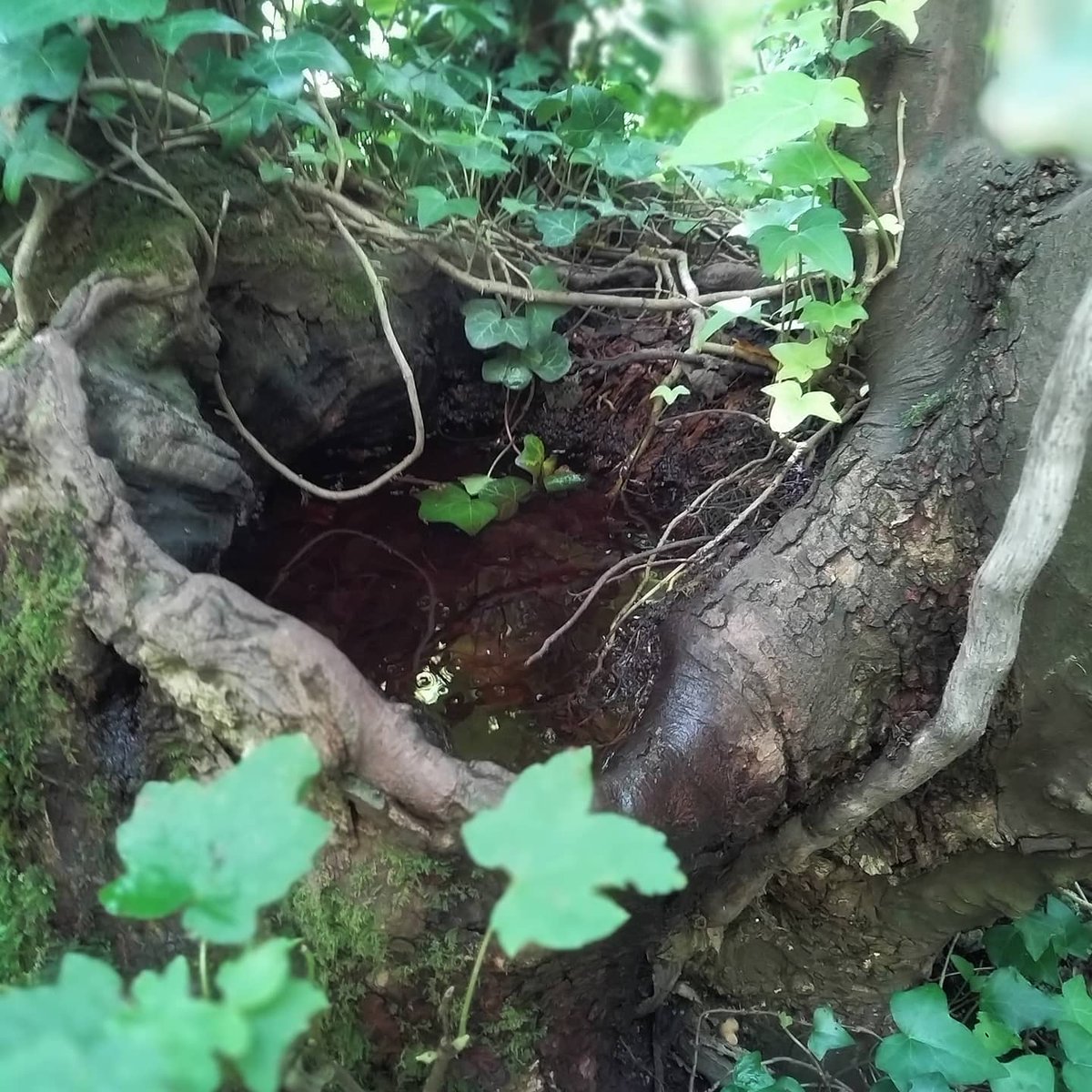 Fantastic day brunching &amp; treasure hunting with some of my favourites 🥰 Thanks <a href="/emma/">Emma</a> for being the perfect host as always! 💜💜 #ladieswhatbrunch #athroughzchallenge