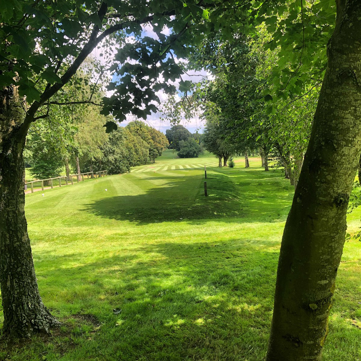 Miles_gkeeper's tweet photo. Just admiring my work through the trees πβ³οΈ love stripes!!! #greenkeeper #stripeaddict #johndeere #ryetec #mowrough #stripes #greenkeeperslife #greenkeeperstuff #golf https://t.co/td1tmNPR7R