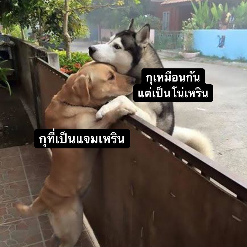 กุตอนนี้
