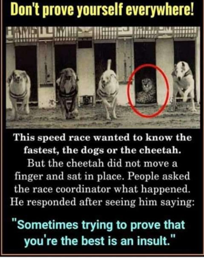 Competition is overrated. Self actualization, that's where it's at...