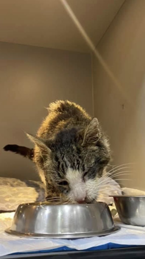 ACTUALIZACIÓN facebook.com/10000823839172…