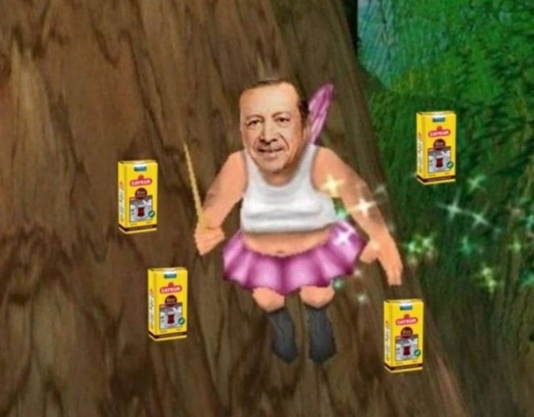 Her felaketin ardından aniden ortaya çıkan çay perisi.
#tayyiperdoganistifa