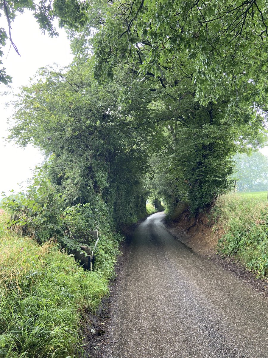 FrecherJacques's tweet photo. #vakantie in Nederland: in heel het #Koninkrijk is het droog. Heel het land? Neen, in #Epen, #Slenaken en net over de grens #Beusdael #Sippenaken regent het. Fabuleus groen is het resultaat https://t.co/MV5DeQ9Tp2