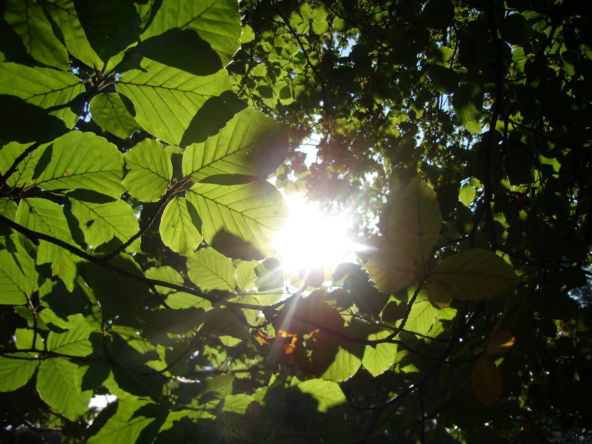 TLCManchester's tweet image. 💞  We have a new 6-week Yoga for Self Care course with yoga therapist Sofie Swindlehurst. 

⏰  Starting 6pm, Monday 6 September. 

👉 Book your place from £10 per session now: thelifecentrenorth.com/workshops-and-…