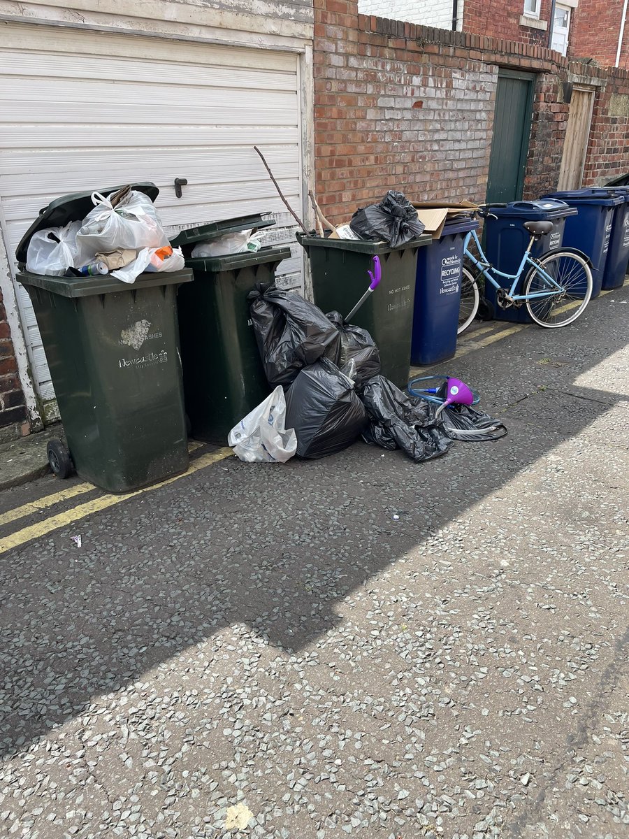 EndASBinJesmond's tweet photo. The Mildmay Rd/Holmwood Grove filth continues  #StudentSlums #RewildingJesmond #EndASBinJesmond @NCC_Leader @JesmondStella @UniofNewcastle, @NorthumbriaUni, @NewcastleCC, @ChronicleLive https://t.co/NM2FJqMUzU